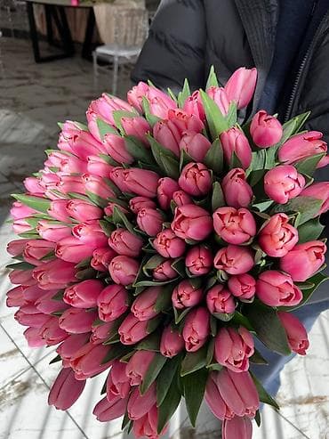 семена тюльпанов оптом: Тюльпаны к 8 марта — открыт предзаказ. В наличии 10 сортов. Опт от — 4