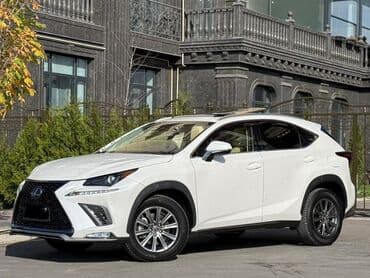 шины r16c: Lexus NX: 2019 г., Автомат, Кроссовер — 4