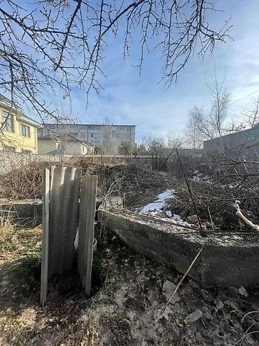 кок терек: 5 соток, Кызыл китеп, Техпаспорт, Сатып алуу-сатуу келишими — 4