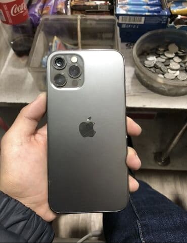 черчение 8 класс электронный китеп: IPhone 12 Pro, Графит, 80 % — 1