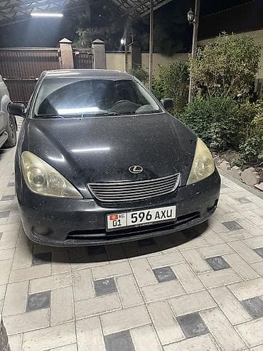 бизнем: Lexus ES: 2004 г., 3.3 л, Автомат, Газ, Седан — 6