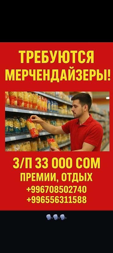 Требуется Мерчендайзер, График: Шестидневка, Полный рабочий день, Карьерный рост
