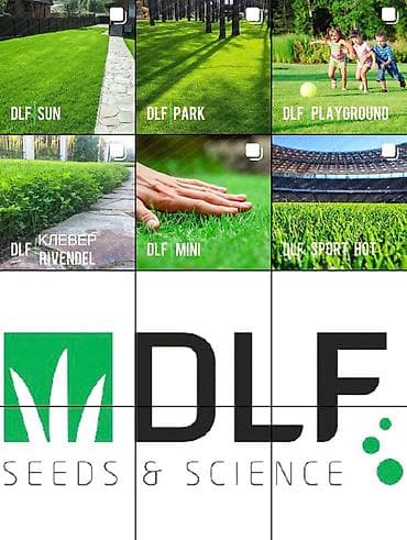 Продаю СЕМЕНА ГАЗОНА из Европы (Дания) В наличии все сорта: -сан