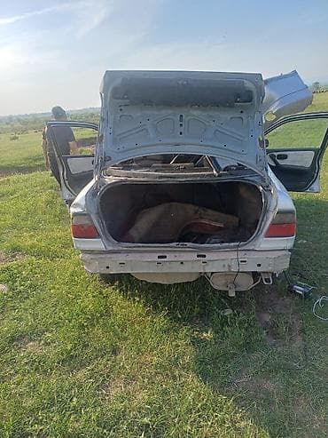 1 9 dci: Nissan Primera: 1996 г., 1.6 л, Механика, Бензин, Седан — 1