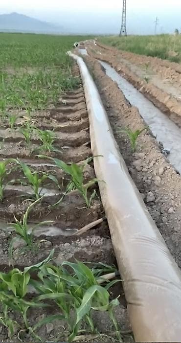 grass химия: Шланг для полива — 1