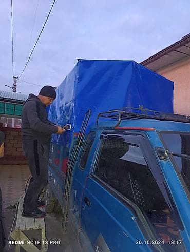 Транспорт: Легкий грузовик, Hyundai, Стандарт, До 1 т — 3