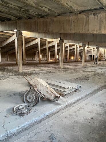 продаю дом село орок: 100 соток, Красная книга — 6