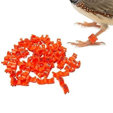 капсулы линчжи феникс: Кольцо на лапку птицы, диаметр 2,7 мм, застежка, гравировка номера — 1