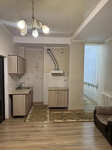 хаус кг: 1 комната, 47 м², Элитка, 5 этаж, Евроремонт — 4
