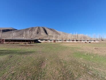 сколько стоит 2х комнатная квартира в бишкеке: Продаю Кошара, 150 соток, Действующий, С оборудованием, Электричество, Холодная вода — 9