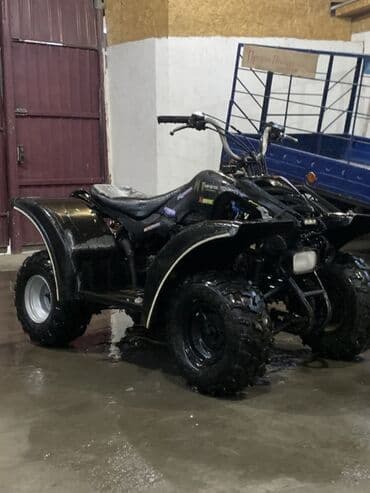 куплю опрыскиватель аккумуляторный: Квадроцикл Бензин, 160 куб. см, Взрослый — 2