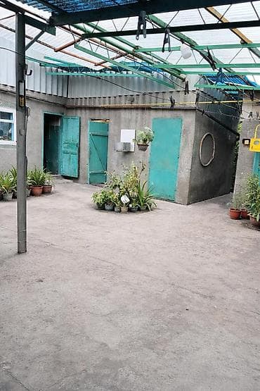 зеленный городок: Жилой дом с участком в г. Бишкек, Новопавловка р-н Ленинский — 6