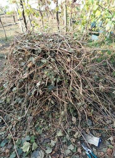 стоимость искусственного газона для футбольного поля: Дрова Самовывоз — 1