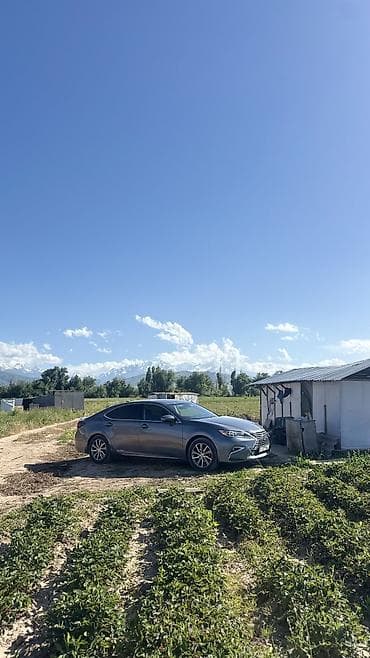 lexus es 2015: Lexus ES: 2015 г. — 5