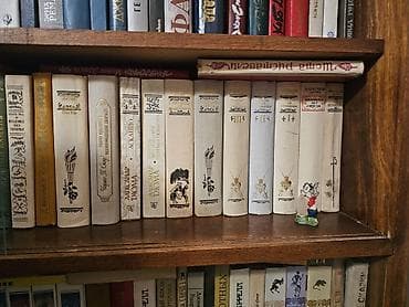 биог: Книжный шкаф, Дерево — 2