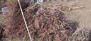 цена бетона с доставкой бишкек: Срочно сату керек тытын чырпыктары босу 50 сомдон Манас Жалал Абад — 5