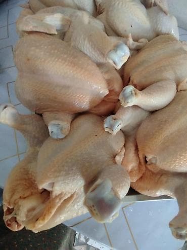 забыл: Продаю мясо куриц бройлера 💯 халал строго соблюдается по шари'ату — 3