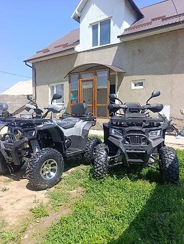 бампер передний ист: Квадроцикл Бензин, 250 куб. см, Взрослый — 3