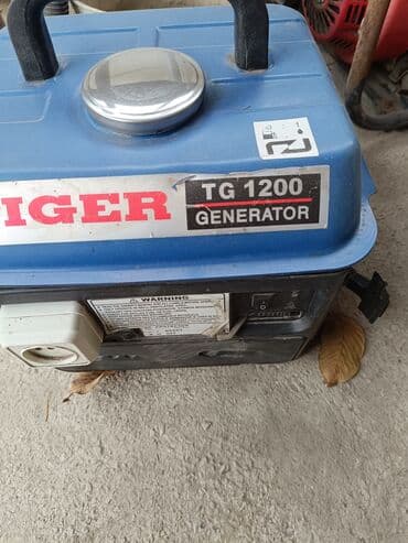 немецкие швейные машинки: Генератор 3500 нужна провиликтика — 1