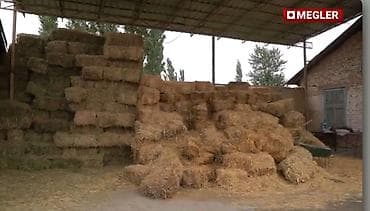 2х уровневый: Сдаю сарай для КРС ( 70 голов) Вода электричество внутри Есть домик — 5