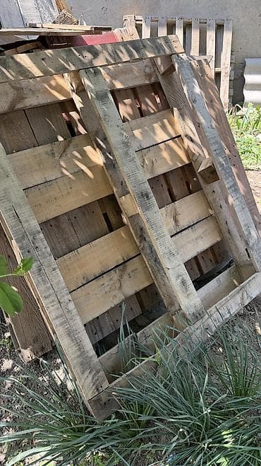 кобра для пива: Дрова Самовывоз — 3