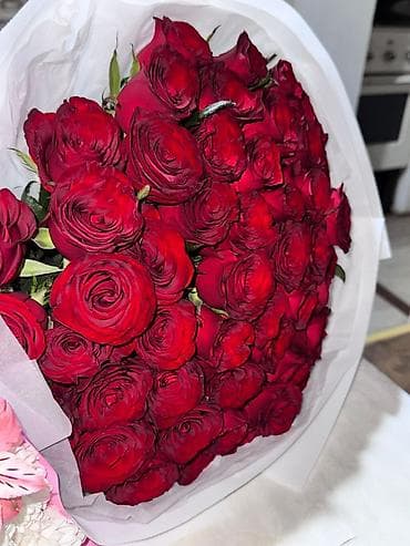 flowers: Продаю цветы сегодня утром получили 09.05.2026
Цены договоримся — 4