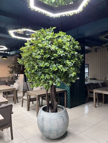 шкаф для одежды новый: 🌿 Мы — Mayram Decor KG, ваш надежный партнёр в создании эффектных и — 28