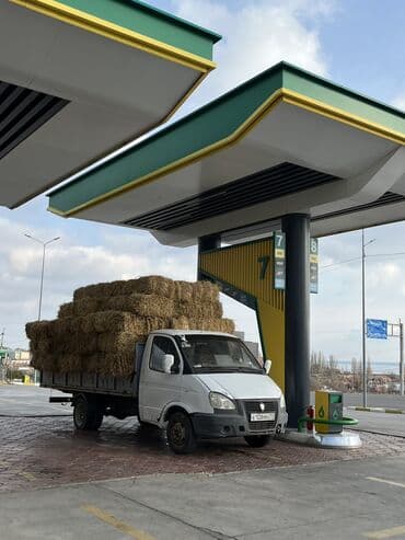 ГАЗ GAZel: 2006 г., 2.4 л, Механика, Бензин