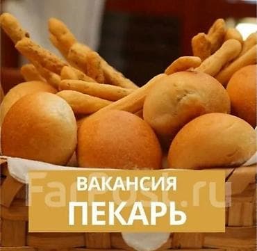 заготовщик повар: Вакансия: пекарь Описание работы: Нам на кафе нужно Который умеет — 1