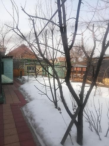 Упаковочные товары: Просторный дачный участок с благоустроенным двором и навесом. - — 1