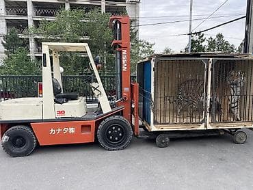 Аренда вилочного погрузчика,кары Услуги вилочного погрузчика кара