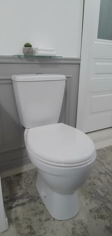 распылитель для воды: Унитаз Напольный, Б/у, Материал: Керамика — 1