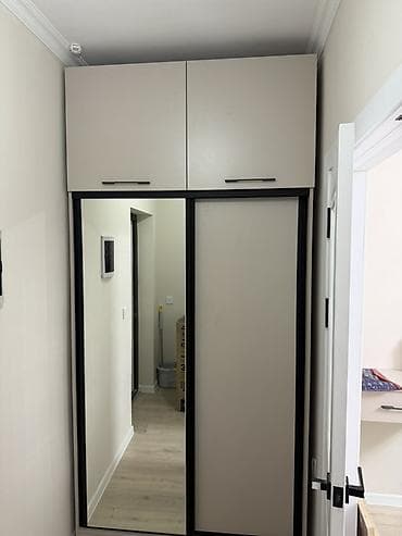 встроенные шкафы купе: Шкаф купе, С зеркалом, ЛДСП — 4