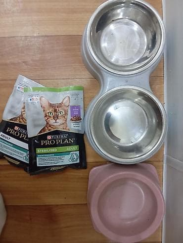 куплю конь: Отдаю кошку в хорошие руки, со всеми принадлежностями. кошка хорошая — 6