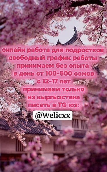 Онлайн-подработка для подростков из Кыргызстана. - Возраст: 12–17 лет