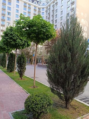 1 комната, 45 м², Элитка, 6 этаж, Евроремонт