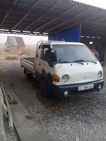 sprinter 2 2: Легкий грузовик, Hyundai, Дубль — 7