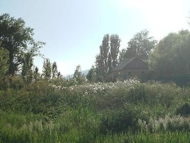 продам дом киргизия 1: 30 соток, Для бизнеса, Красная книга — 3