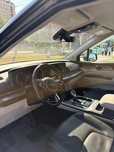накладки на двери: Kia Carnival: 2022 г., 3.5 л, Автомат, Бензин, Минивэн — 7