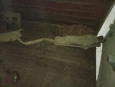 мотор на мопед: Двигатель в разборе (рядный 6-цилиндровый). Комплект из фотографий: - — 4