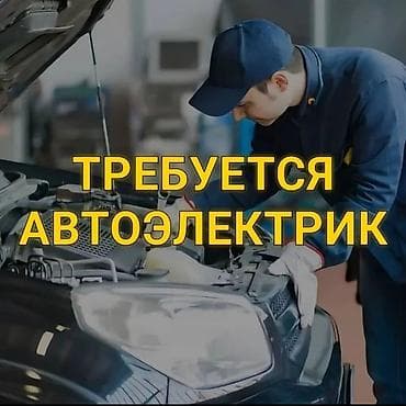 Требуется Автоэлектрик, Оплата: Ежедневно, Процент от дохода, 3-5 лет опыта