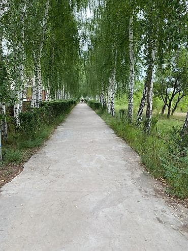 отель бишкеке: Коттедж, Кыргызское взморье, Бостери, 6 мест — 2
