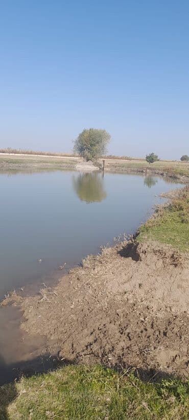 дом на гэс 2: 200 соток, Красная книга — 1