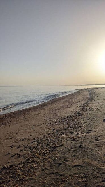 контейнер дом бишкек: Үй, 100 кв. м, 10 бөлмө, Менчик ээси — 2