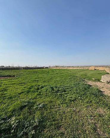 участок раздолний: 125 соток — 10