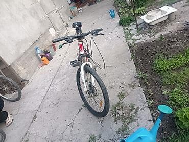 maxxis 29: Горные велосипеды Phoenix и Next 1) Phoenix - Формат: хардтейл с — 2