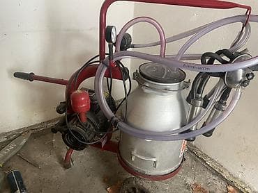 тоок сатып алам: Срочно продам доильный аппарат почти новый пользовались несколько раз — 3