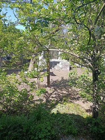 добрыня дача: Продаётся садовый участок с домиком и хозпостройками. - Зелёный — 4