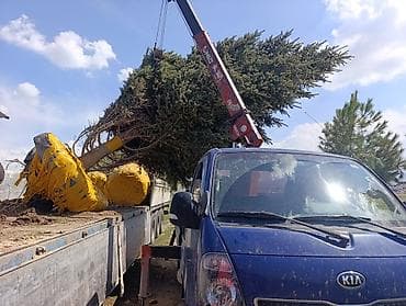 Услуги манипулятора (кран-борт) - Перевозка и погрузка/выгрузка at lalafo.kg Услуги манипулятора (кран-борт) - Перевозка и погрузка/выгрузка