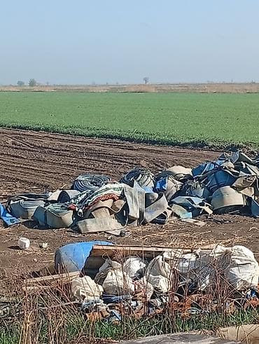 ат баши: Морковь — 1